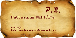 Pattantyus Miklós névjegykártya